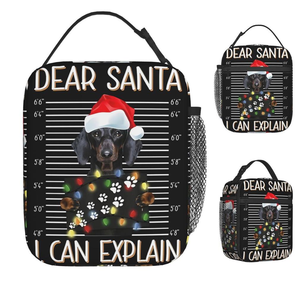 Dachshund Sausage Dog Christmas Lunch Bag Portable Zipper Lunch Box Beach Graphic Design Cooler Bag Casual Thermal Lunch Bags