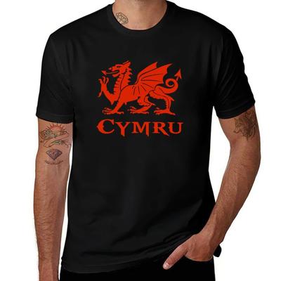 Cymru Wales Welsh Cardiff Dragon Tshirt Sport Basic Moisture Wicking Tee