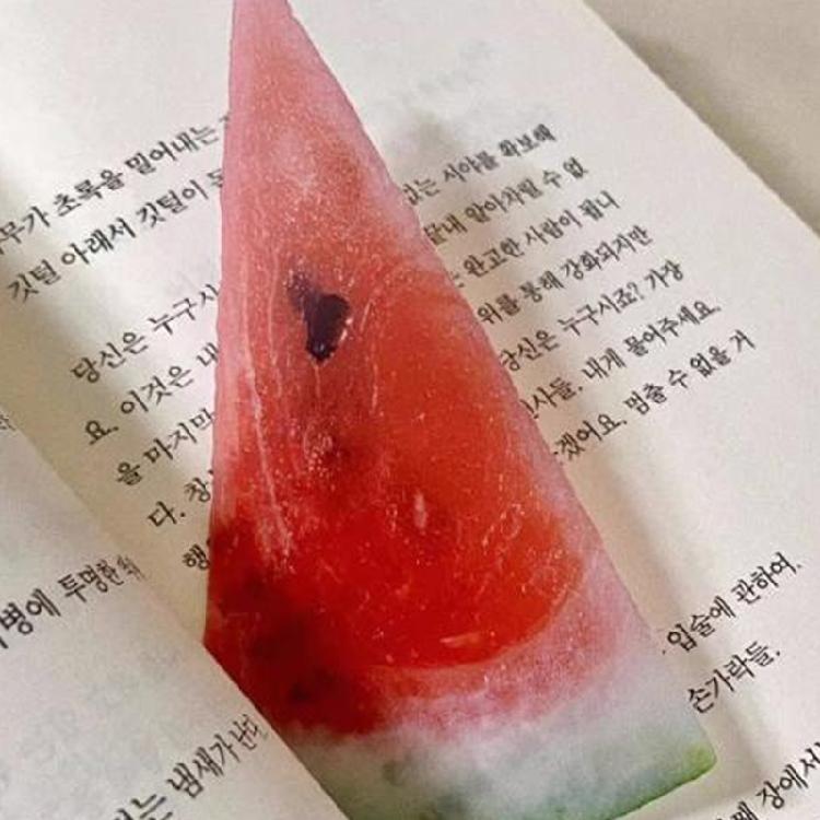 10Pcs Cartoon Fruit Bookmarks Realistic Fruit Acrylic Bookmarks Reading Aid For Book Lovers Library Travel Daily Use