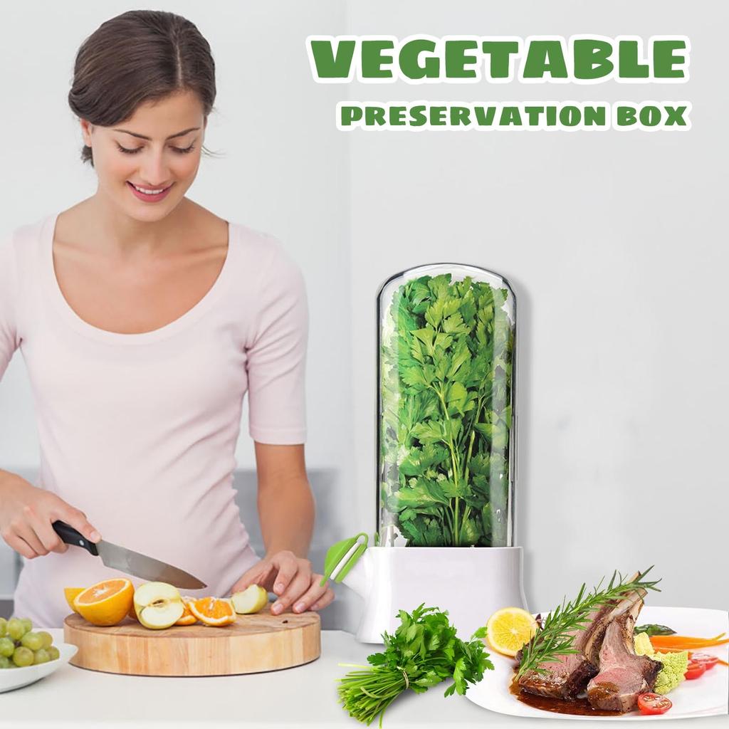 Herb And Vegetable Fresh-keeping Box, Anti-crushing Environmentally Friendly Fresh-keeping Device, Creative Coriander Fresh-keeping Cup