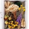 DIY Natural Dried Flower Set Eucalyptus Lavender Wheat Bunny Tails Billy Ball Flower Bouquet with Stems for DIY Crafts Home Wedding Vase Decor