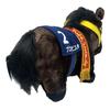 Thoroughbred Collection Fluffy Big Plush Toy Buena Vista Approx. 45cm