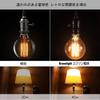 Bravelight Edison Bulbs, 60W, E26E27 Base [G95], Ball Bulbs, Carbon Fiber Bulbs (Non-LED Bulbs), Warm White, Stylish Edison Bulbs, Retro Bulbs,