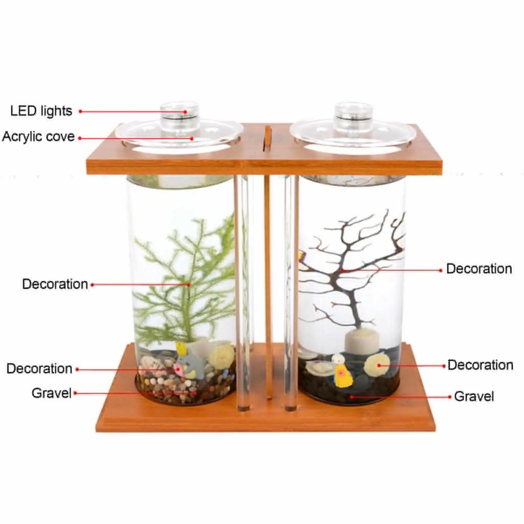 Creative Bamboo and Wood Eco Fish Tank, Dual-Glass Desktop Mini DIY Goldfish and Betta Fish Micro Landscape Aquarium