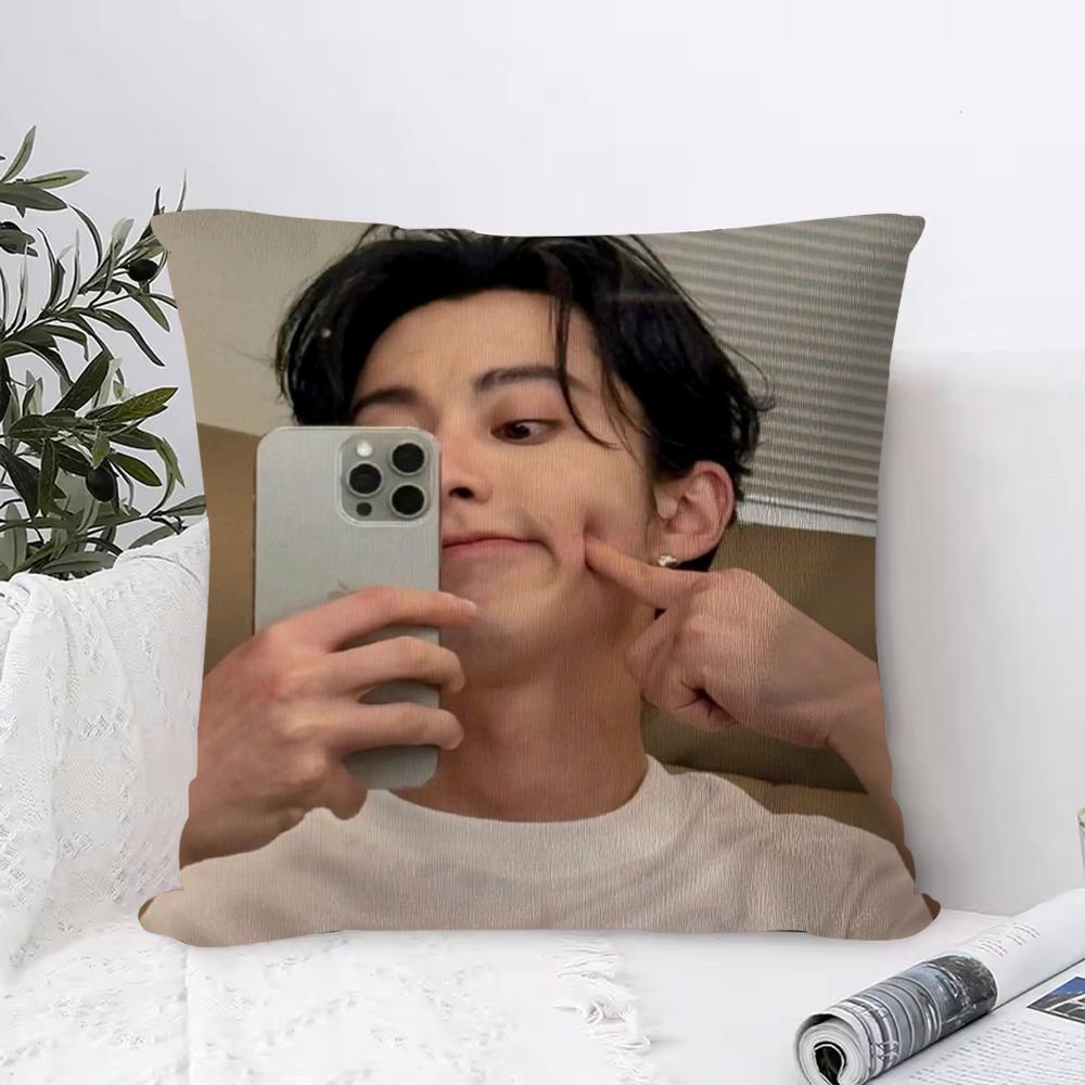 Cosmetic Playlover Cushion Cover Anti-dustmite Pillowcase Invisible Zipper Silky Short Plush Sofa Cushion Cover