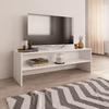 Moderne Minimalismus TV-Konsole, Wohnzimmer Sideboard, Multifunktionale Aufbewahrungseinheit, 120x40x40cm