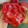 /Gj/Watermelon Slushy Toy Soft Slow Rebound Stress Relief Squeeze Toy Realistic Fruit Simulation Model Adult Gift Handmade