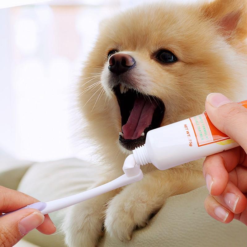 Dog Toothbrush Mini Head Pet Toothbrush Soft Hair Toothbrushes for Dog Teeth Cleaning Rabbit Small Pet Toothbrushes Mouth Clean