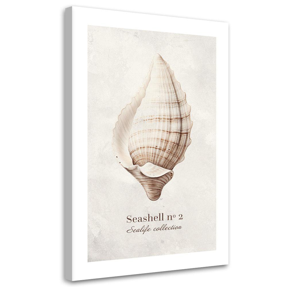 Canvas Print, Shell On Natural Background