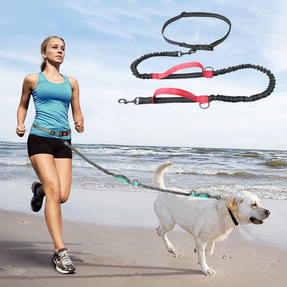 

Retractable Harness Rope Leashes Dog Leash Dog Leads Walking Belt