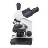Electron Microscope 40X To 5000X Laboratory Microscope for Clinical Cultured Bacteriology Histology