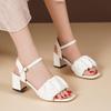 One-word buckle fashion sandals women's summer new fashion versatile medium heel thick heel high heels