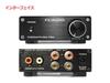 PRO Stereo Power Amplifier Equipped with TDA7492PE Digital Amplifier IC FX-AUDIO- FX202A/FX-36A "Black"