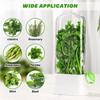1pc Refrigerator Herb Crisper Saver Pod Container Vegetable Preserving Bottle Keep Herb/Cilantro/Mint/Parsley/Asparagus Fresh Gr