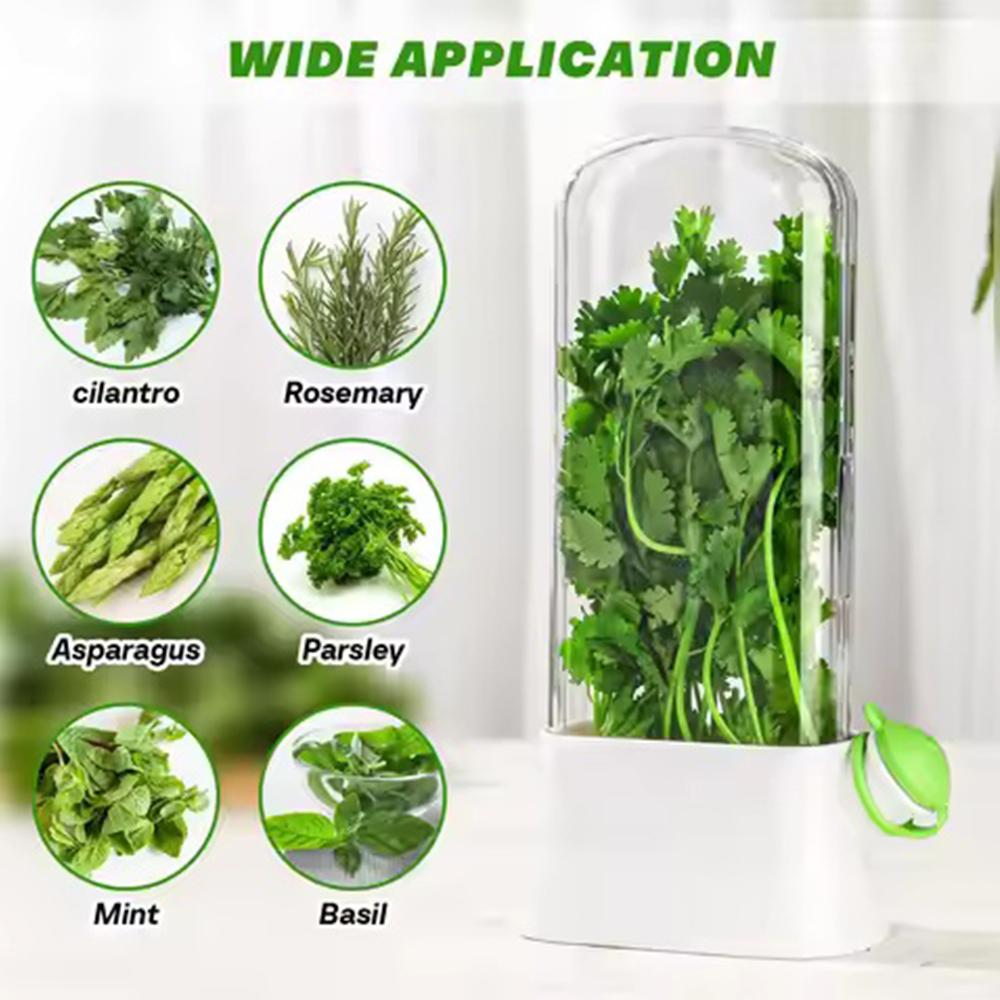 1pc Refrigerator Herb Crisper Saver Pod Container Vegetable Preserving Bottle Keep Herb/Cilantro/Mint/Parsley/Asparagus Fresh Gr