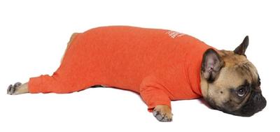 MANDARINE BROTHERS SKIN TIGHT SUIT Innerwear for Dogs (XXL, ORANGE)