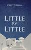 The Little By Little Book
