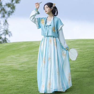 Abito da donna quotidiano con stampa e tintura di Hanfu in stile dinastia Tang cinese
