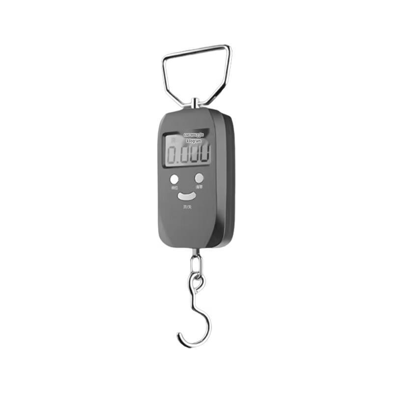 Hantian Gong Handheld Electronic Scale