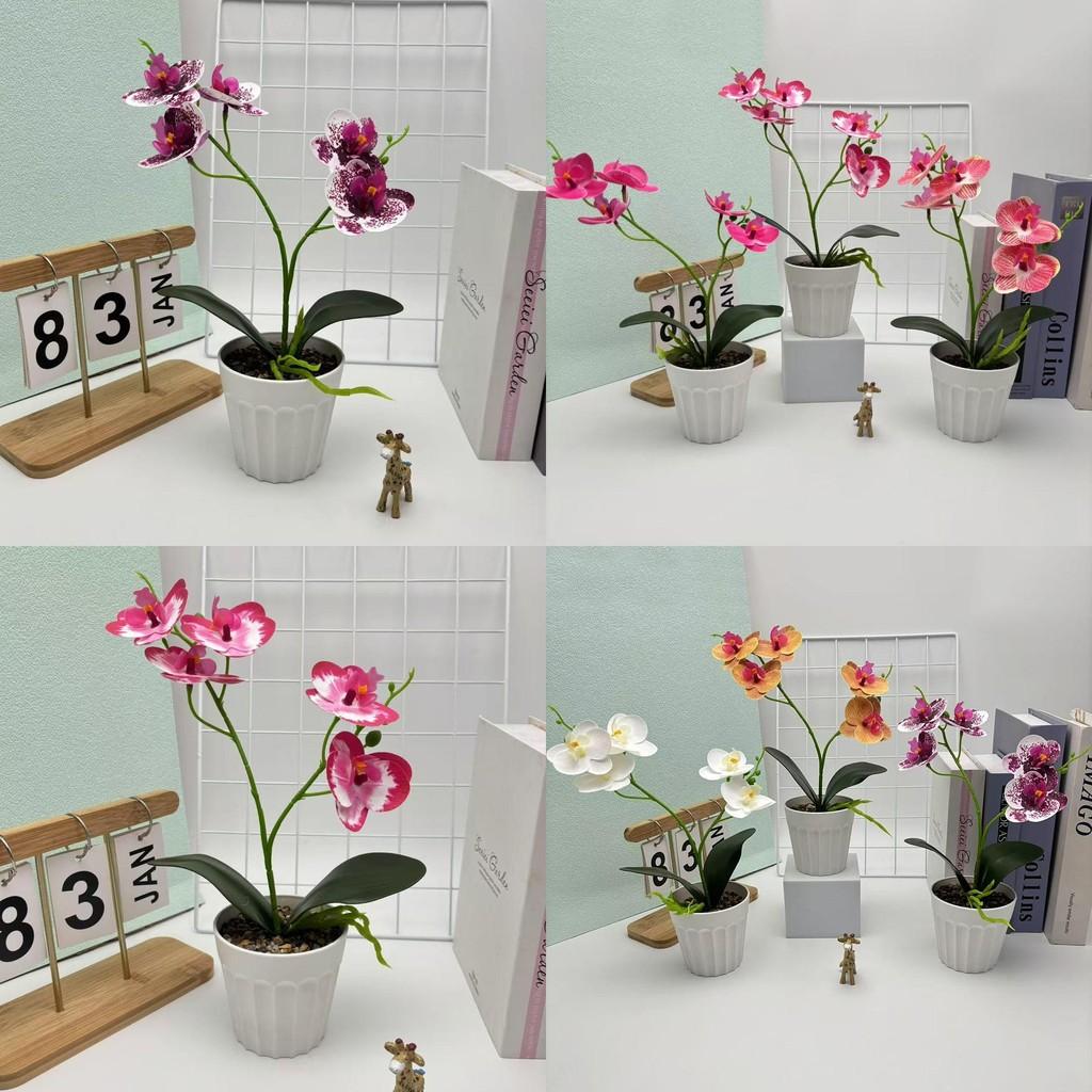 Schmetterlingsorchidee Kunstpflanze mit geprägter Textur für Heimdeko und Wohnzimmerausstellung