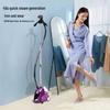 Jielihe High-Power Stand-Up Garment Steamer and Handheld Iron for Clothing Stores and Homes