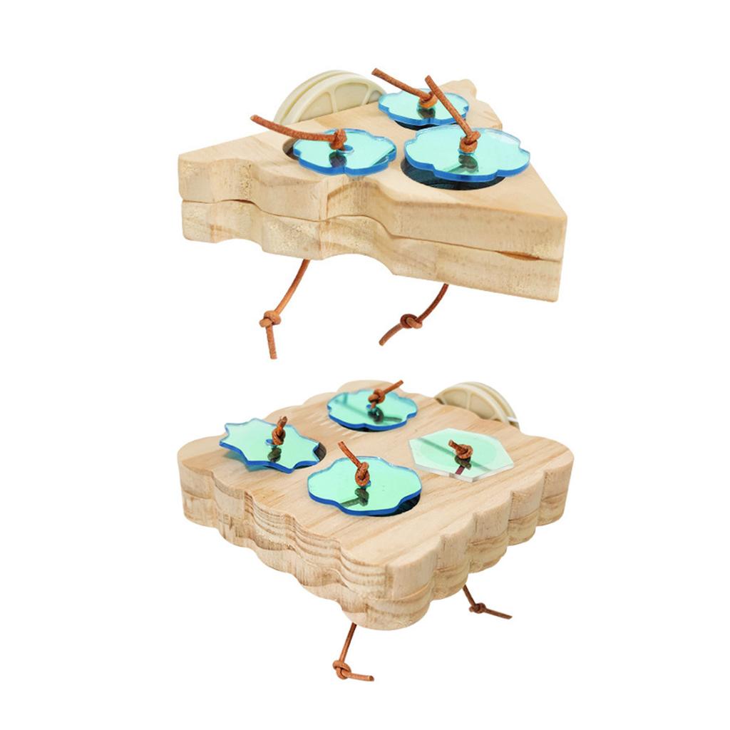 Bird Cage Water Bowl Colorful Parrots Toy Interactively Bird Feeders Hanging for Parrots Feeding