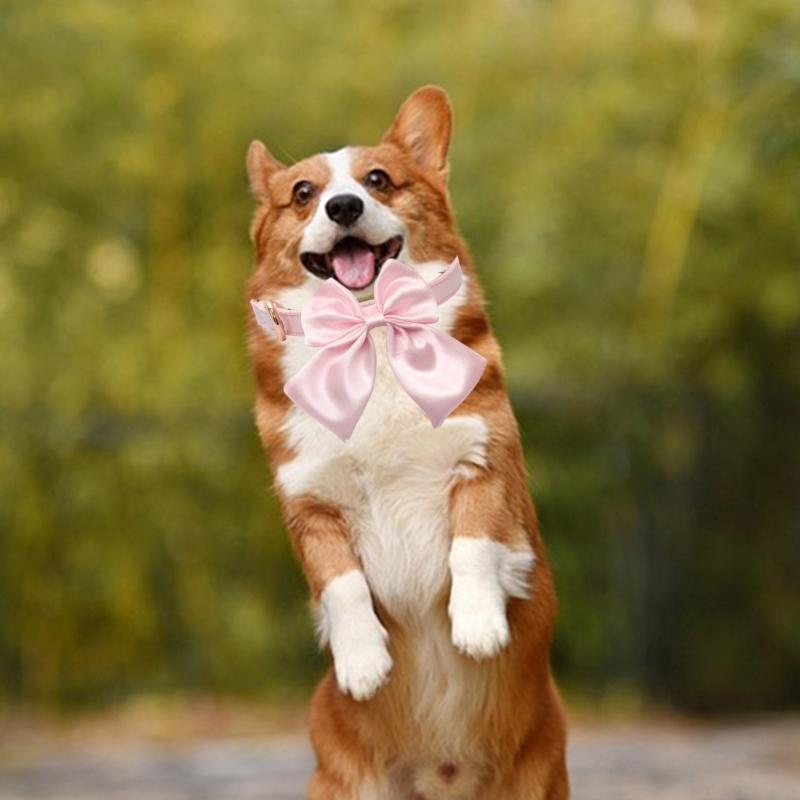 Pet Collar for Small Pet Woven Collar for Daily Walking Soft and Comfortable with Metal Buckle Elegant Collar Neckwear