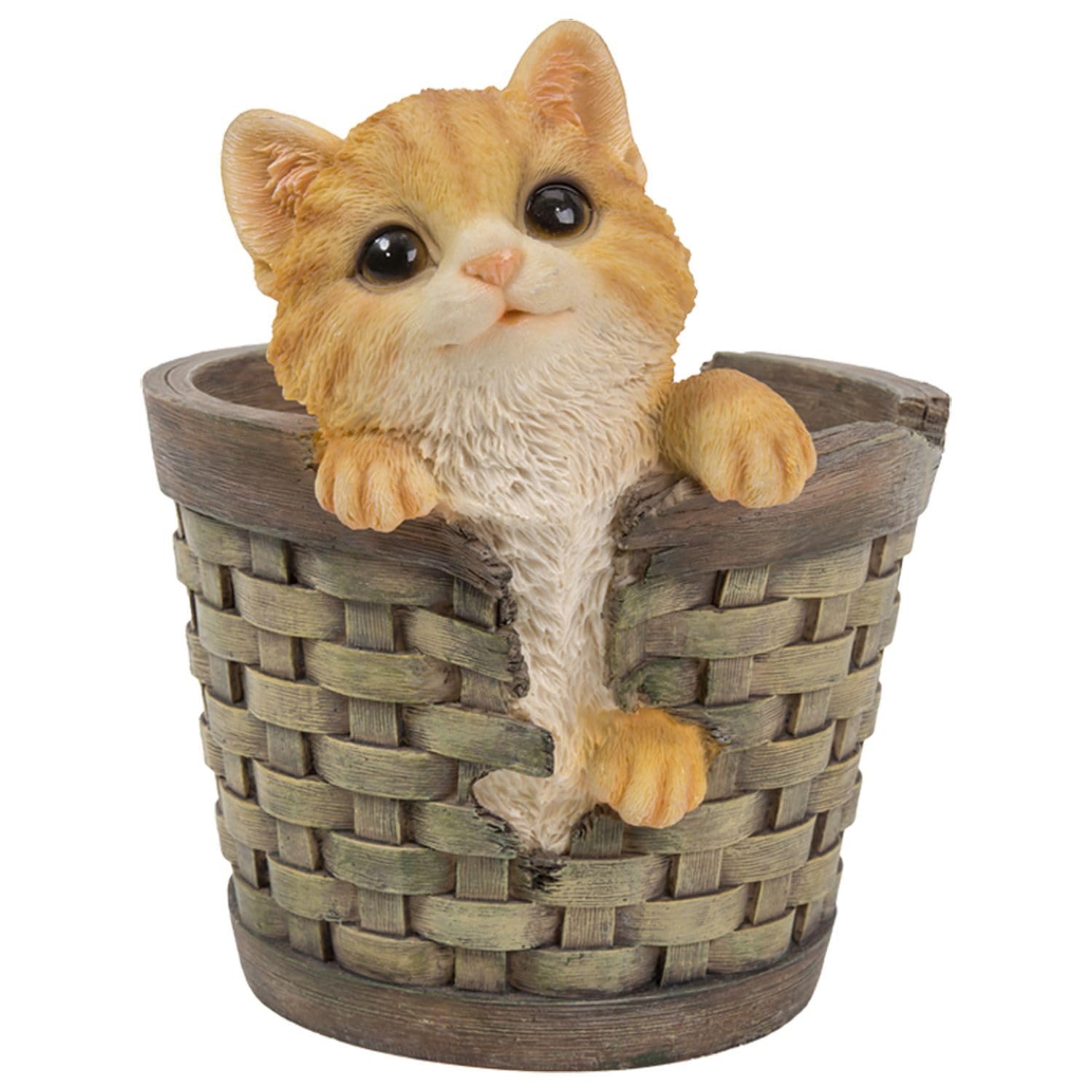 

Ubia Brown Tabby Kitten in a Flower x 17 x Garden Cute H07182 Pot, 18.7 20.2 cm, Figurine, Animal, Decor, Realistic, Cat,