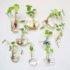 Hydroponics Plants Wall Hanging Vase Transparent Plant Propagation Vase  for Home Office Decor