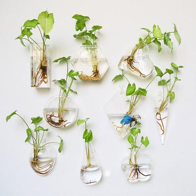 Cone Shape Wall Hanging Vase Hydroponics Plants Transparent Wall Planter Plant Holder Fish Tank Aquarium Container