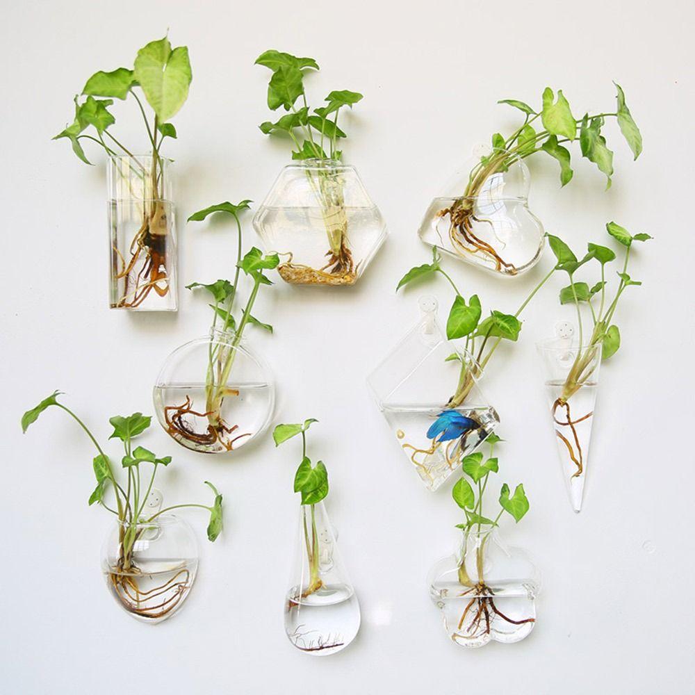 Hydroponics Plants Wall Hanging Vase Transparent Plant Propagation Vase  for Home Office Decor