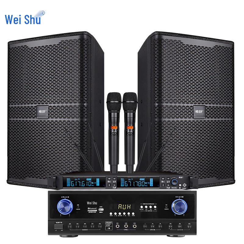 Weishu KX-300 Professional Conference Audio System (CN Version)
