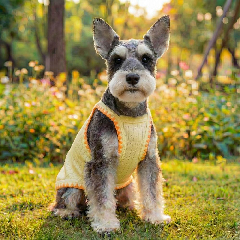 Embroidery Print Summer Pet Vest Breathable Lightweight Cat Thin Clothes Sun Protection Comfort Fit Pet Suspender Vest