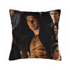 The Vampire Diaries Pillow Case  Comfy Pillow Cover Fashion Pillowcases For Sofa Home Decoration