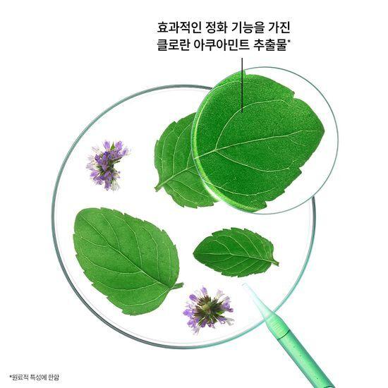 KLORANE Aqua Mint Deep Cleansing Cooling Shampoo 400ml Bonobono Planning/Single Item