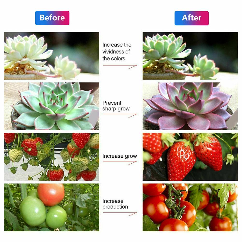 Led Grow Light Strip Waterproof Energy Saving Full Spectrum Grow Lamp For Indoor Plant Vegetable