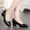 Coarse Heel, Pointed Toe, Shallow Toe Single Shoes - Elegant Women's Shoes, New Style, Soft Sole Shoes