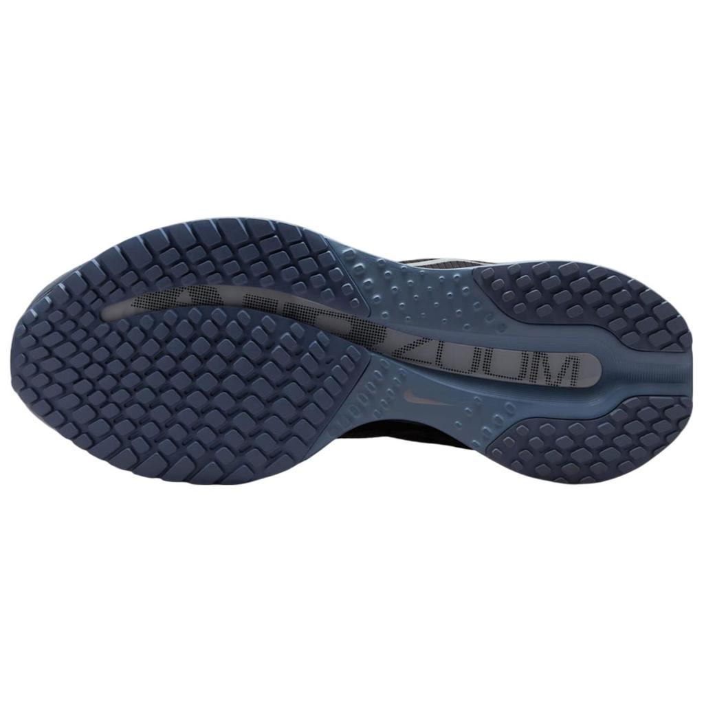 Nike Air Zoom Pegasus Premium Anthracite HQ2592-006