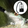 Reptile – Terarii pentru reptile