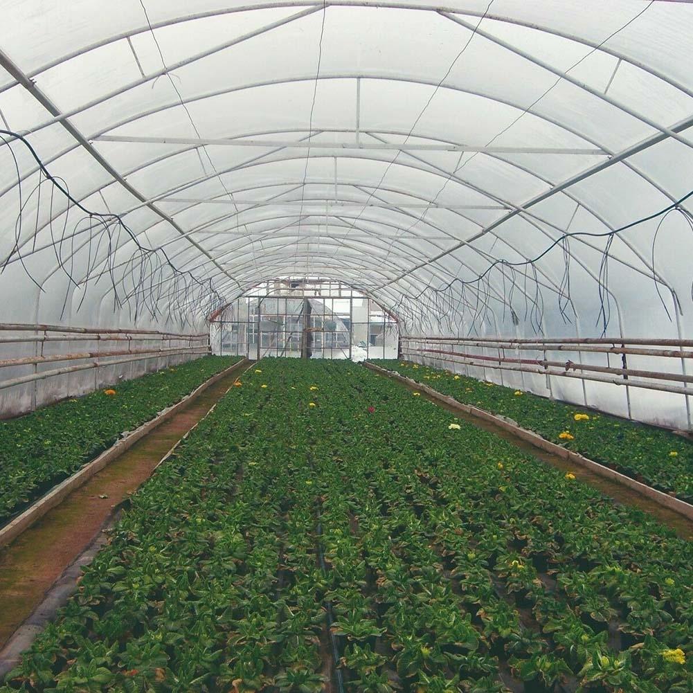 Wasserdichte Gewächshausfolie 0,04 mm 2 m * 6 m / 2 m * 10 m Kälteschutz