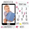 Baby Monthly Milestone Photo Props Background Blanket Unisex Photo Accessories