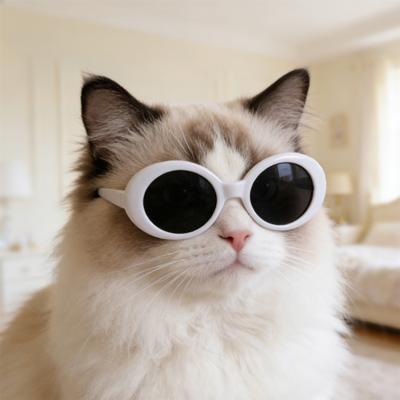 3 Peças Óculos de Gato Retrô Leves Armação Oval Óculos de Sol para Animais de Estimação Óculos de Sol Estilosos para Gatos Pequenos Cães Adereço para Fotos