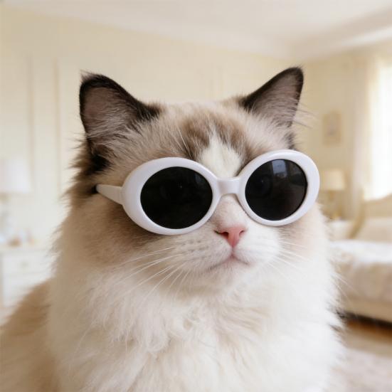 3Pcs Retro Cat Glasses Lightweight Oval Frame Pet Sunglasses Stylish Pet Shades for Cats Small Dogs Photo Prop