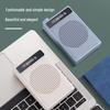 Deli Portable Digital Voice Amplifier LT889 (CN version)