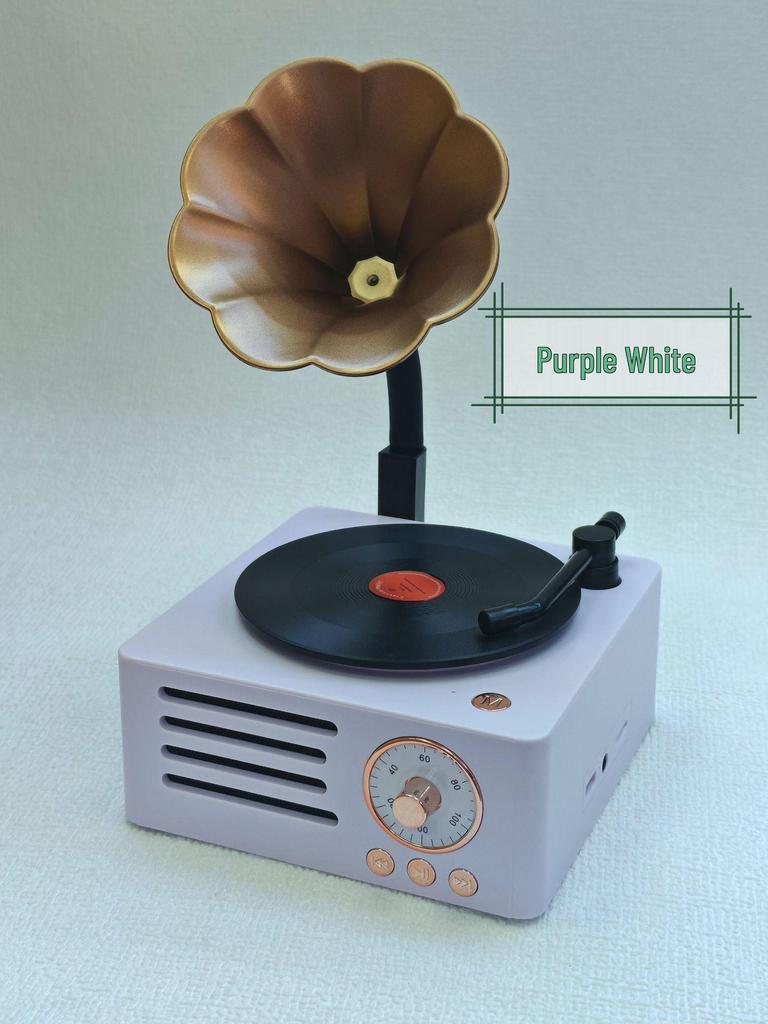 Retro Wood Grain Bluetooth Vinyl Speaker with Rotating Design