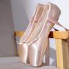 Ballet Shoes Adult  Women's Toe Shoes with Straps Girls Ballet Flat Toe Pointed Dance Shoes