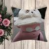 Anime Pillow BERTILO Decorative Pillows for Sofa Pilow Cases Cushion Cover Luxury Pillowcases  Pillowcase Decor  Fall