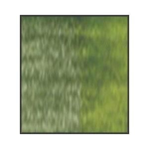 Crayons Derwent Inktense - Fern 156