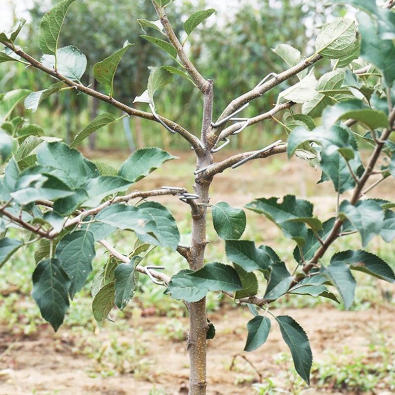 20/50/100Pcs Fruit Tree Branch Fruit Tree Branch Spreader Tree Branch Spreader Puller Tying Machine Farm Tools