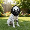 Mesh Pet Protective Veil Adjustable Fit Pet Facial Protection Mask  Prevent Facial Injuries